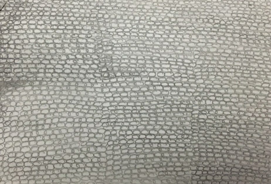 Polyester School Bag