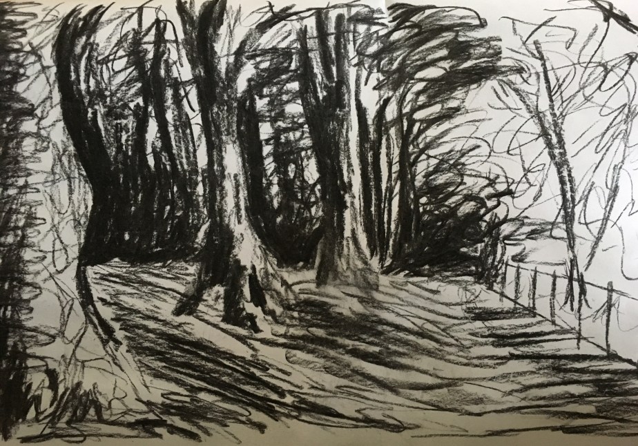 Part 3: Project 1:&nbsp;Trees